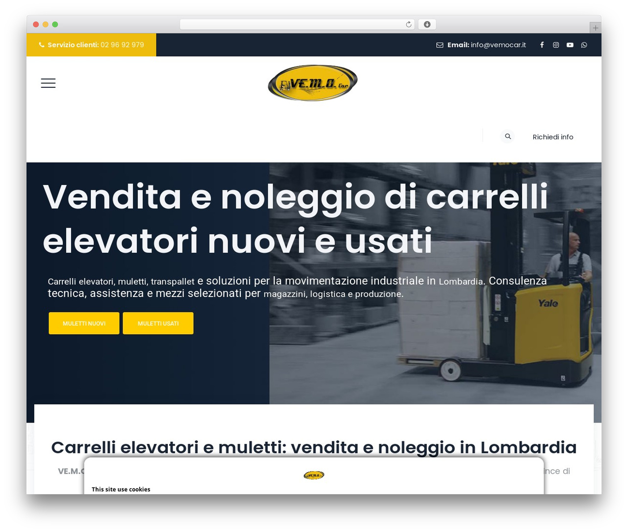 Boldman Child Theme WordPress theme - vemocar.it