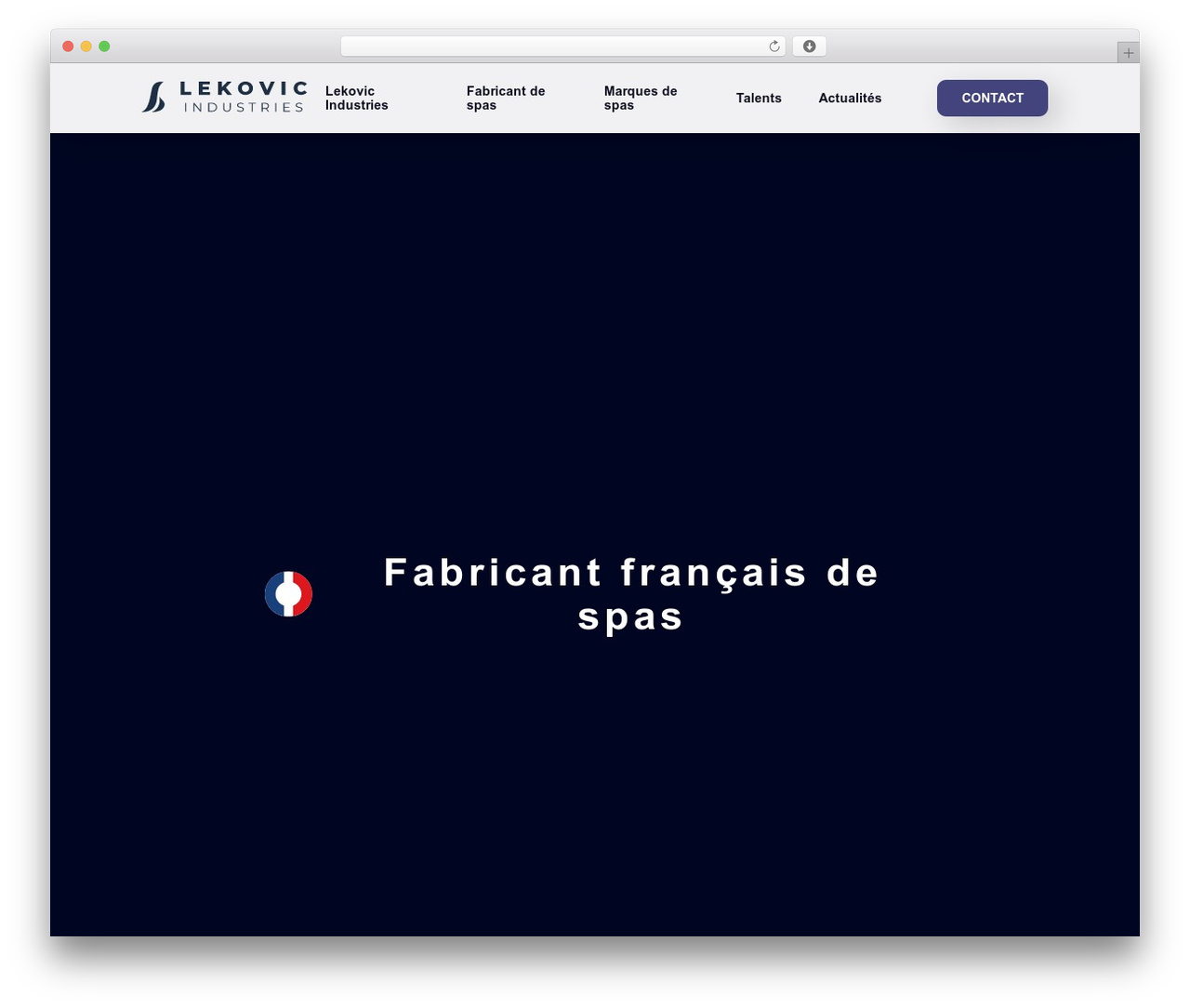 Buzznative WP theme - lekovicindustries.com