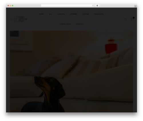 Fluent WordPress theme - ciaoamicomio.com