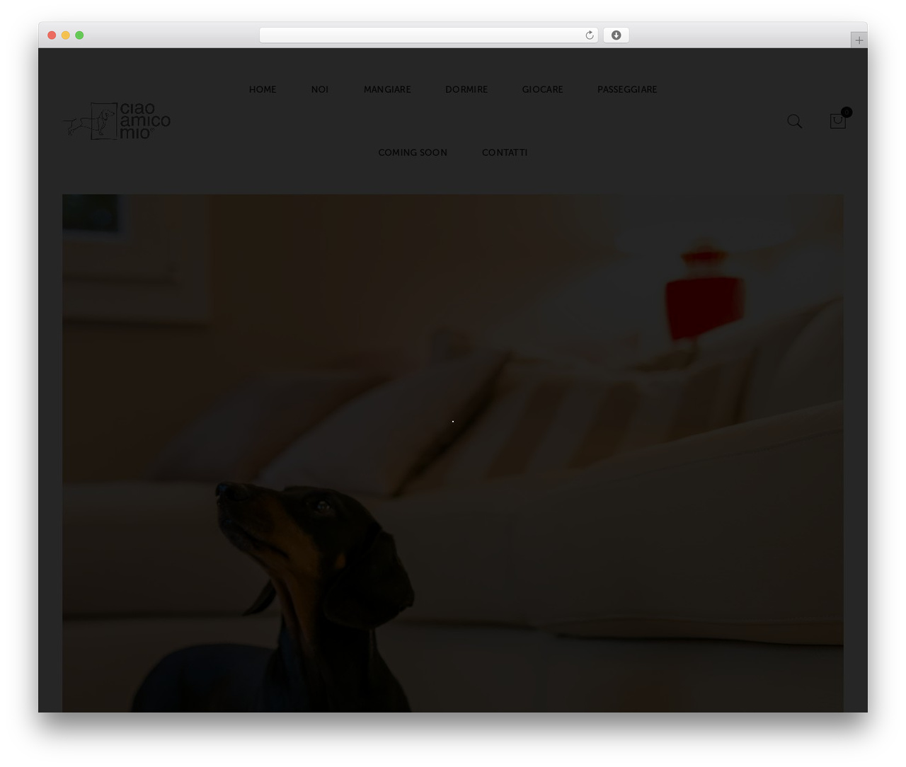 Fluent WordPress theme - ciaoamicomio.com
