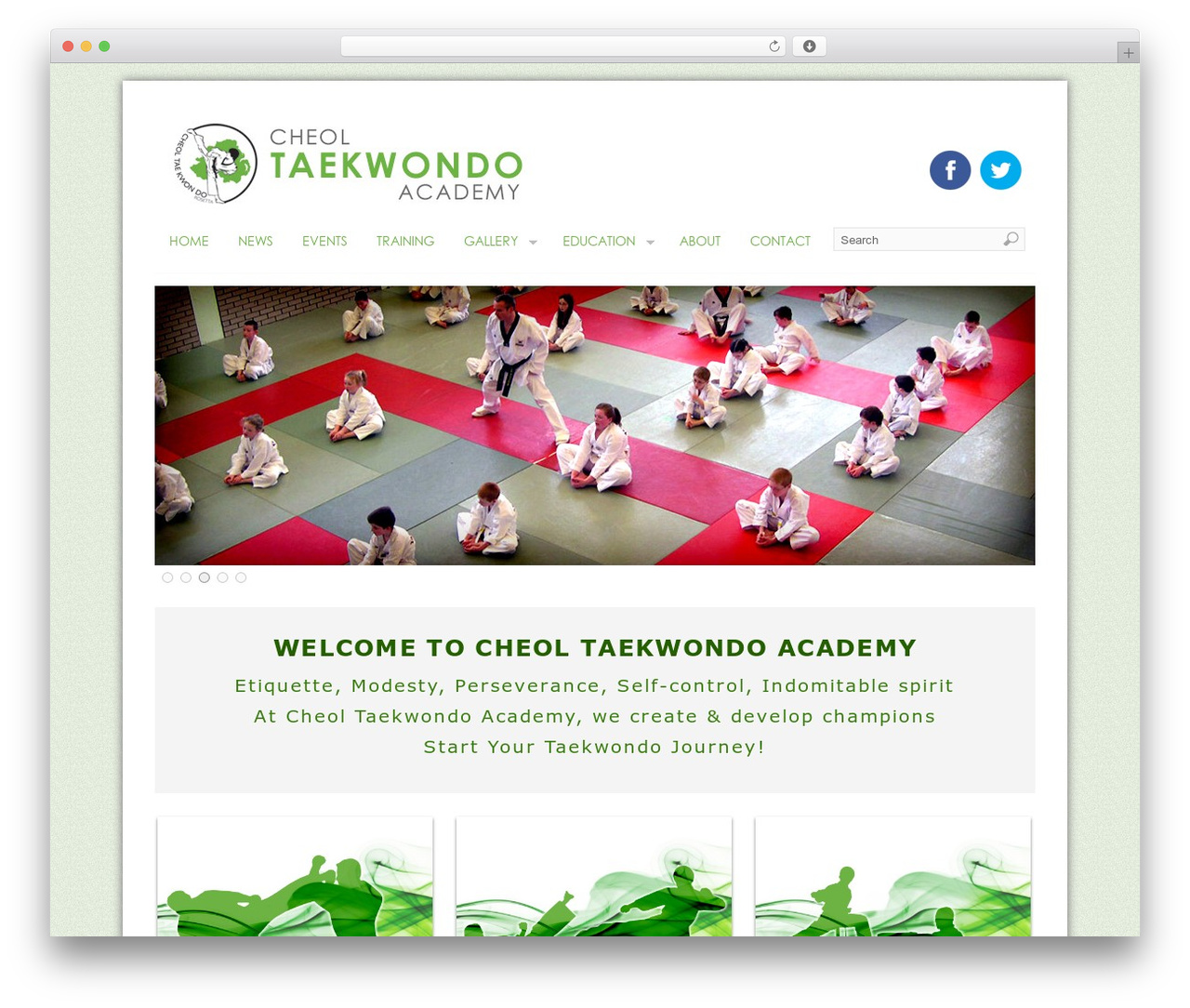 Theme WordPress PlatformPro - cheol-taekwondo.com