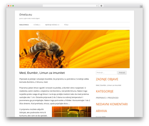 Tiny Framework WordPress website theme - cmela.eu