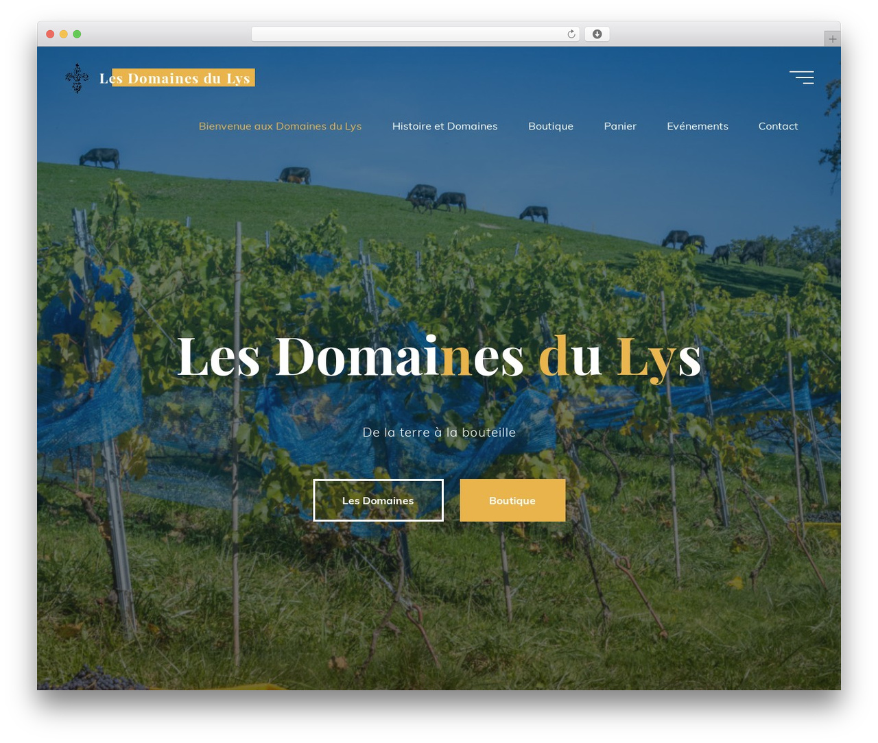 Bravada WordPress theme - domainesdulys.ch