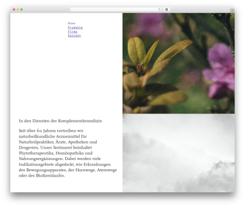 Bricks WordPress theme - rentsch-heilmittel.ch Bricks WordPress theme - rentsch-heilmittel.ch