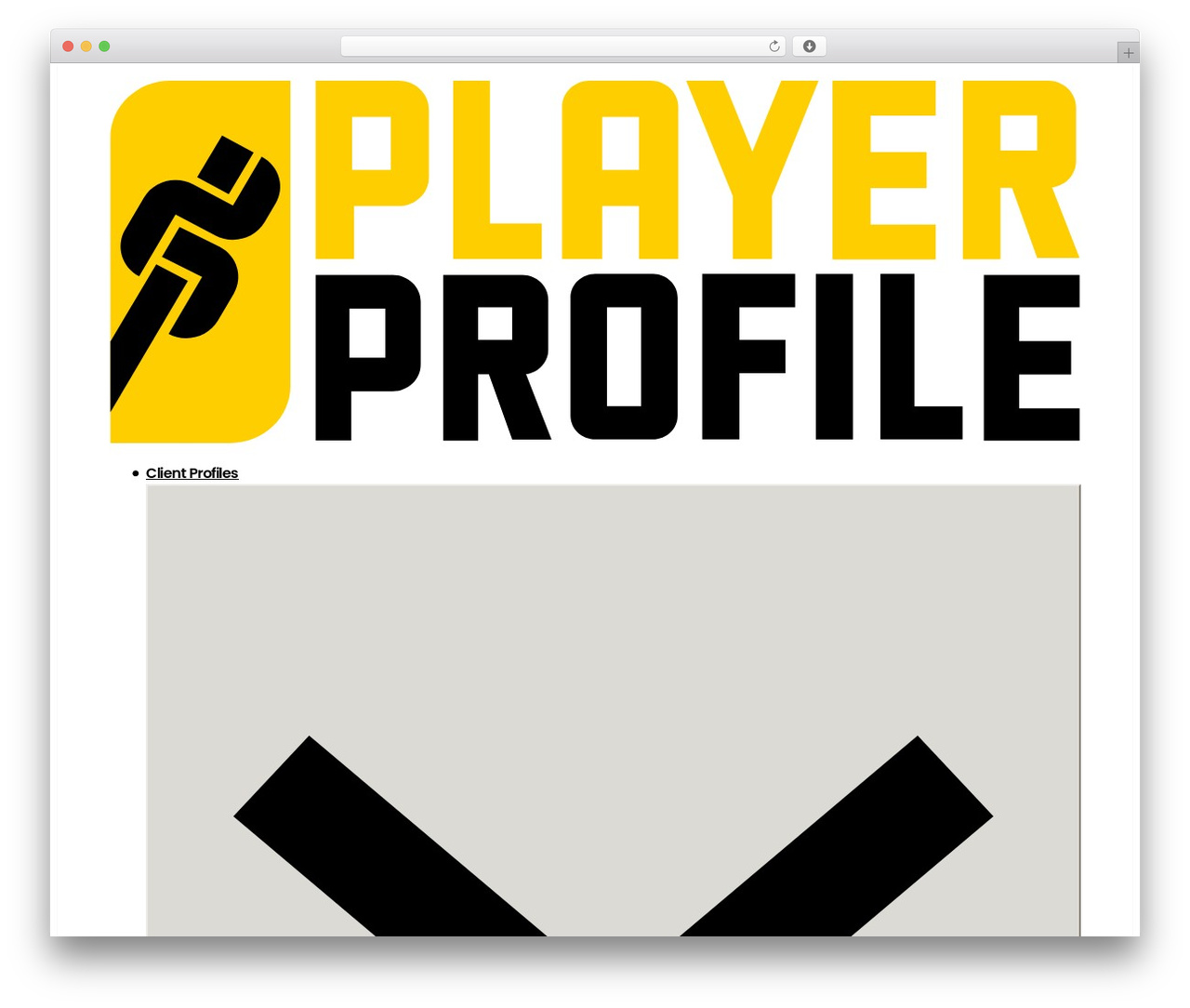 Bricks Child Theme WordPress theme - playerprofile.io