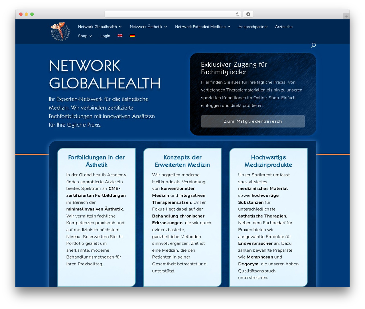 Divi WordPress theme - network-globalhealth.com