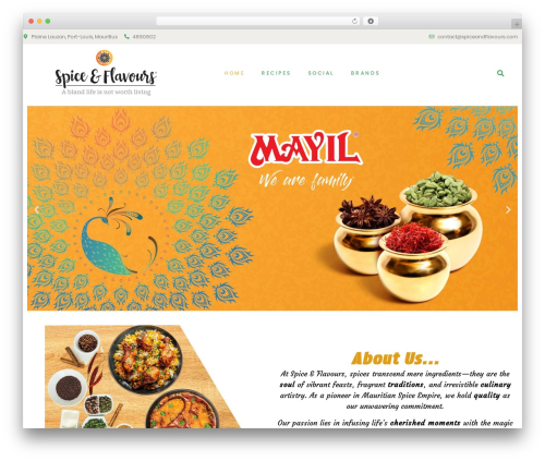 Hello Elementor theme WordPress - spiceandflavours.com