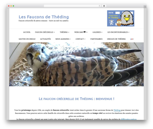 Theme WordPress Manta - lesfauconsdetheding.fr