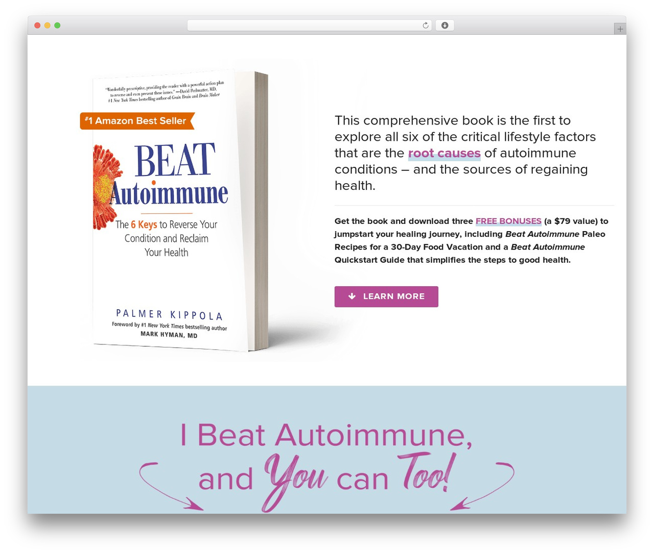 Best WordPress theme Lambda - beatautoimmunebook.com