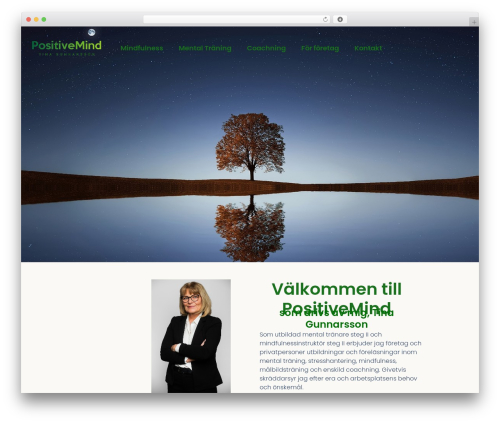 Hello Elementor theme WordPress - positivemind.se