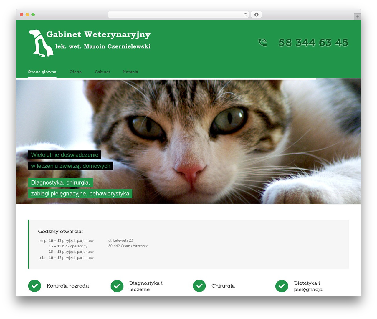 Theme WordPress Avada - czernielewski.com