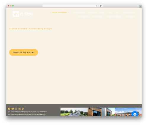 Better chat support WordPress plugin - arteedomki.pl