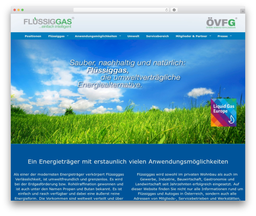 InDreams WordPress theme - fluessiggas.eu