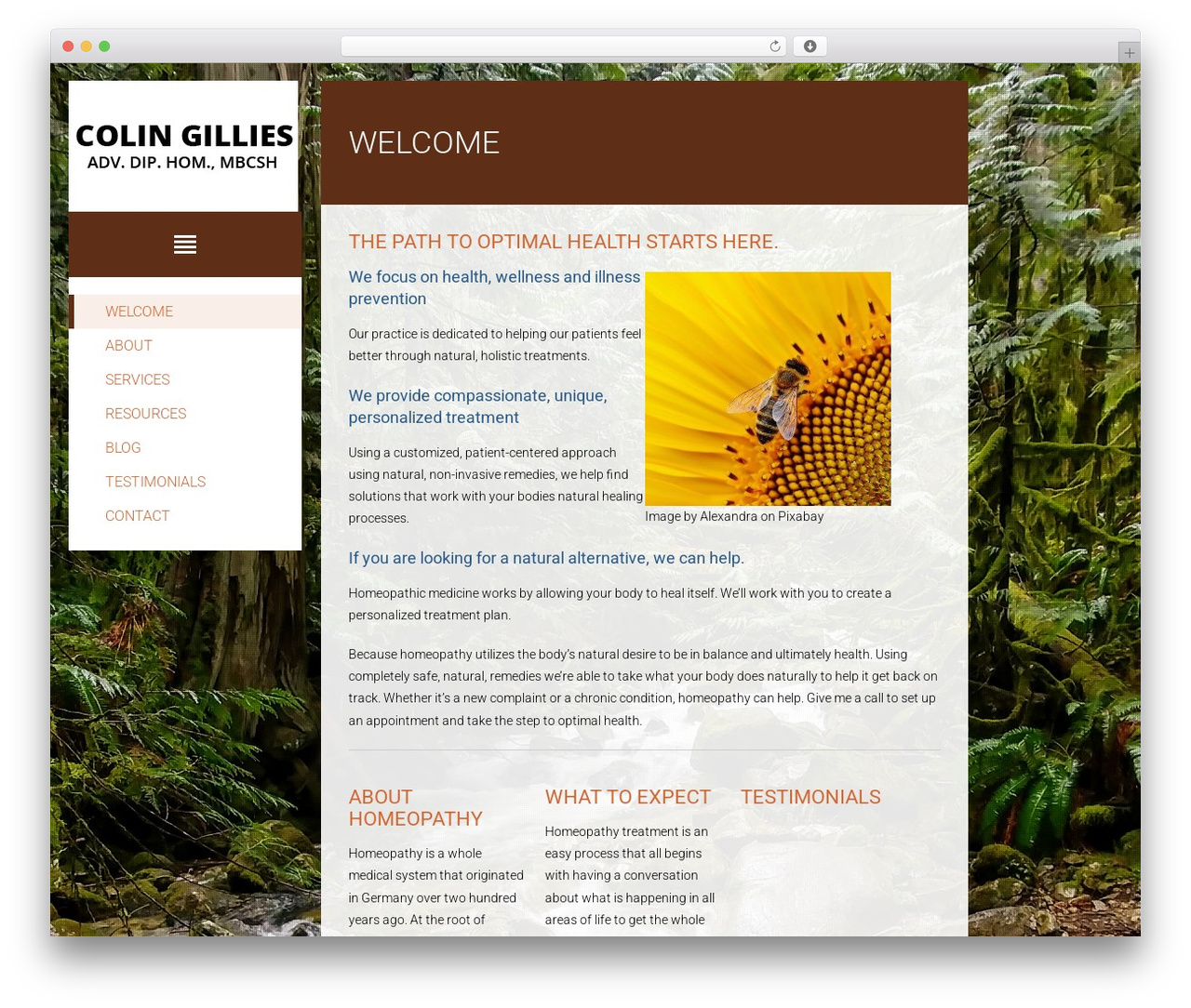 Source WordPress theme - colingillieshomeopath.com