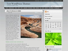 WordPress theme CPCA by sarah @ sw33t