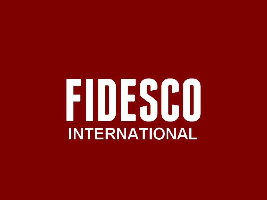 Best Wordpress Theme Theme Fidesco International By 123dev