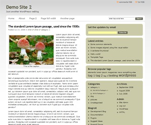 Duplexes theme WordPress by Duplex.net