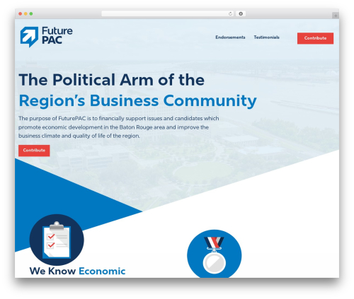 FuturePAC theme WordPress - futurepac.biz