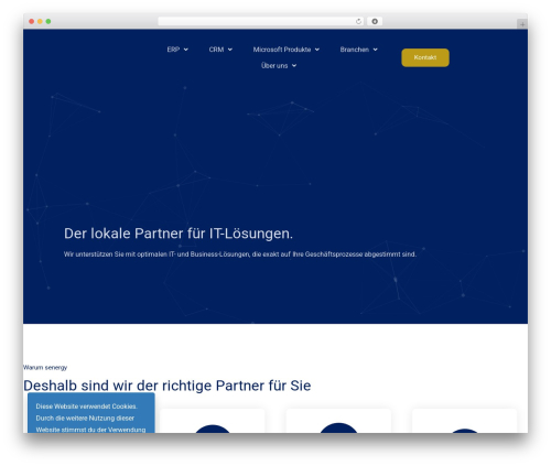 Support wp WordPress plugin - senergy.ch