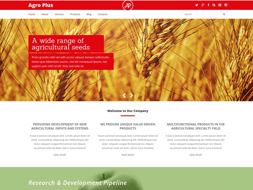 theme48675 WP theme by Template_Help.com