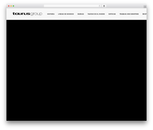 Wp timelines WordPress plugin - group-taurus.com