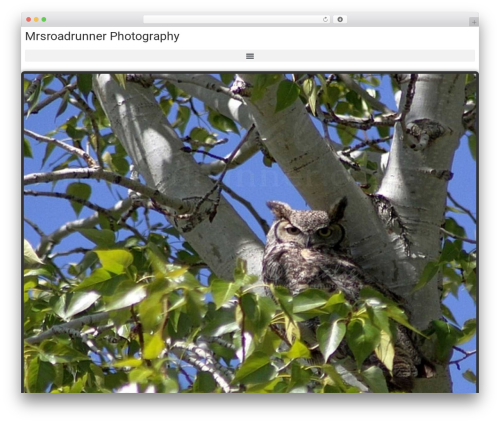 WooCommerce Product Slider (woocommerce-product-slider) free WordPress plugin - mrsroadrunner.com WooCommerce Product Slider (woocommerce-product-slider) free WordPress plugin - mrsroadrunner.com