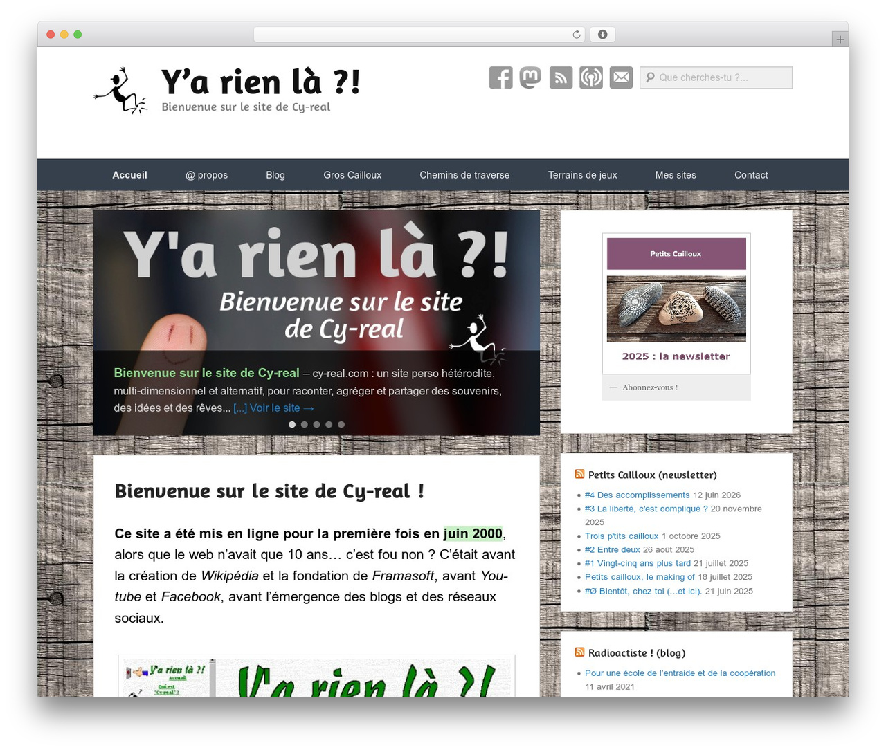 Catch Evolution Pro premium WordPress theme - cy-real.com