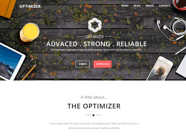 Optimizer Pro Child WordPress website theme Optimizer Pro Child WordPress website theme