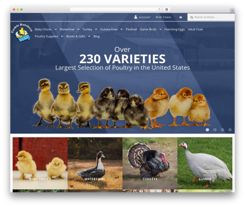 Storefront WordPress theme - www.cacklehatchery.com