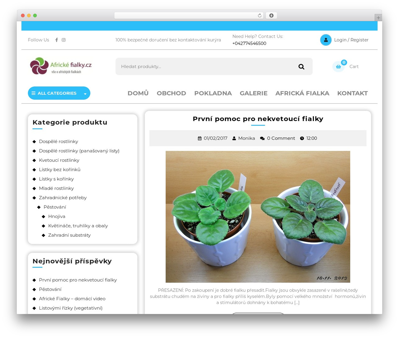 Theme WordPress Ecommerce Solution - africkefialky.cz