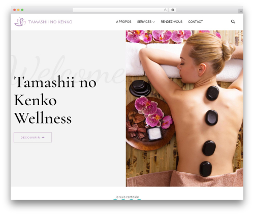 Lesya plugin WordPress plugin - tnk-wellness.ch