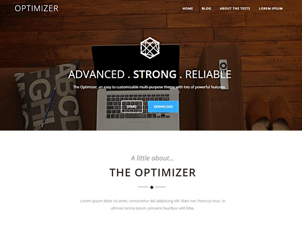 WordPress theme optimizer pro-child