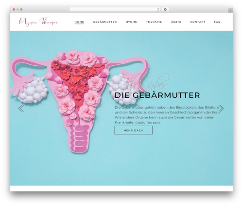 Arabesque core WordPress plugin - myome-therapie.ch