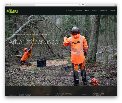 Arbify theme WordPress - puuabi.ee
