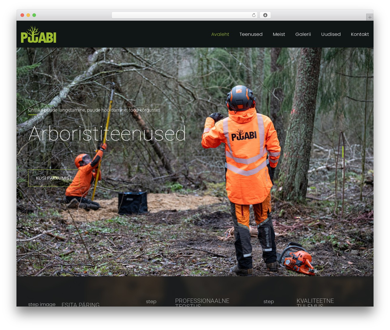 Arbify theme WordPress - puuabi.ee