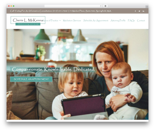Appointment booking WordPress plugin - cheriemckennalaw.com