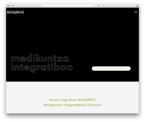 Brighter best WordPress theme - bioqiros.com