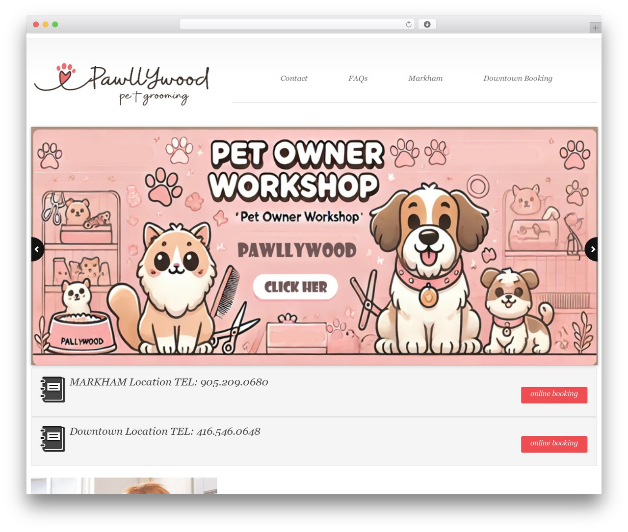 cherry top WordPress theme - pawllywoodpetgroom.com