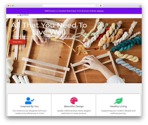 Dropshipping & Affiliation with Amazon (wp-amazon-shop) free WordPress plugin - anbicanada.com