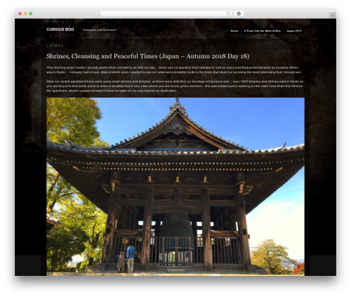 Modularity Lite premium WordPress theme - curiousboo.com