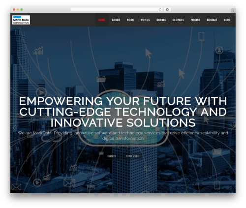 North WordPress theme design - markdataconsulting.com