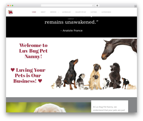 Wyde core WordPress plugin - theluvbugpetnanny.com