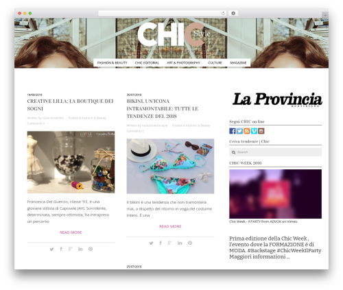Custom CSS (custom-css-editor) free WordPress plugin - chicstyle.it