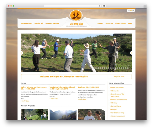 Uber top WordPress theme - chi-impulse.de