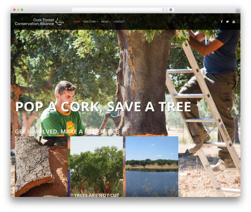 Themeum tweet WordPress plugin - corkforest.org