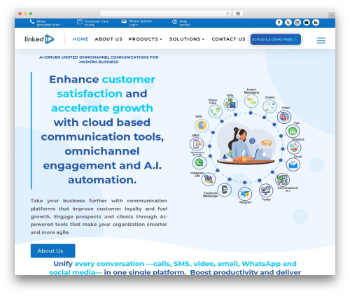 WordPress theme Divi - linkedip.com