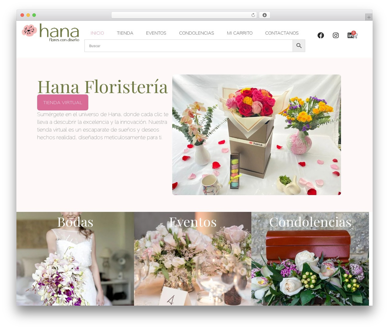 Hello Elementor theme WordPress - hana.com.co Hello Elementor theme WordPress - hana.com.co