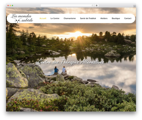 Single Property WP theme - lesmondessubtils.com