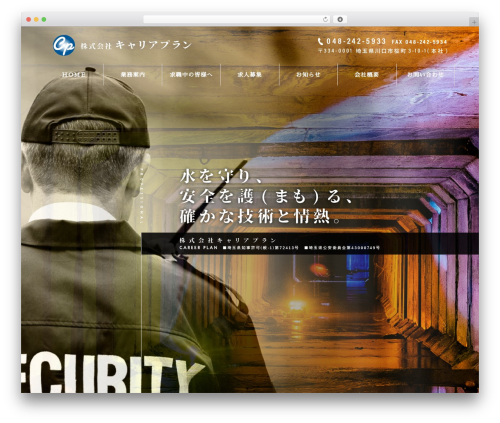STINGER8-custom theme WordPress - careerplan.work