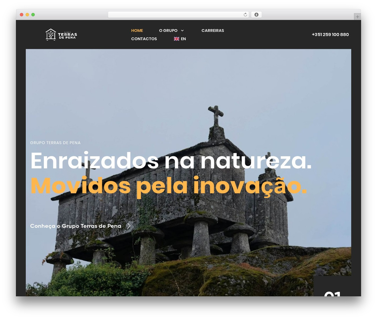 Theme WordPress Larson - new.terrasdepena.com